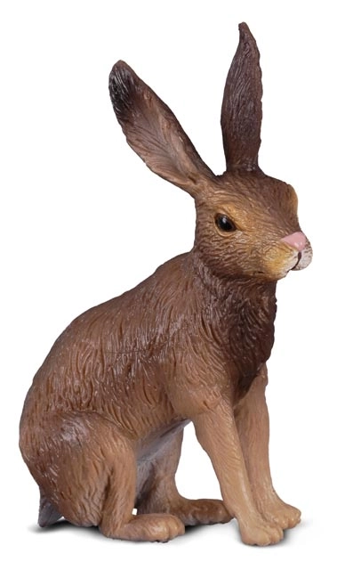 Markhare