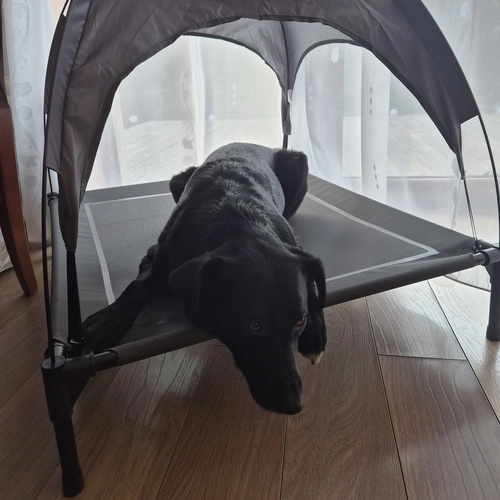 Overdækket hundeseng XXL Purlov