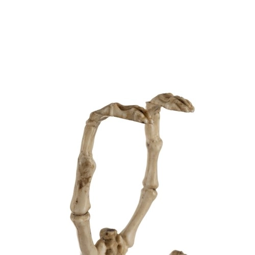 Flagermusens skelet - dekoration 30 cm Malatec