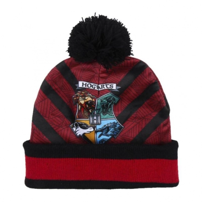 Vinter sæt Harry Potter
