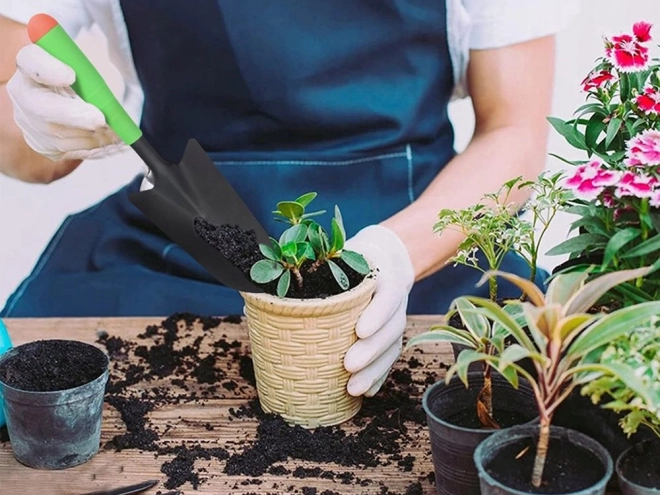 Have omplantningsske