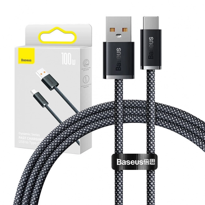 USB til USB-C Kabel Baseus Dynamic Series, 100 W, 1 m (grå)