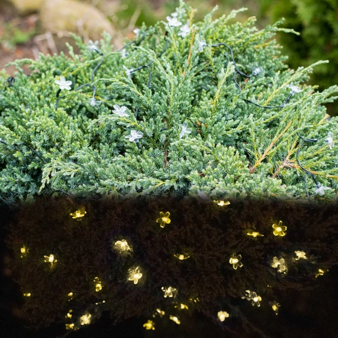 Solar blomsterrig havebelysning 7m 50LED varm hvid