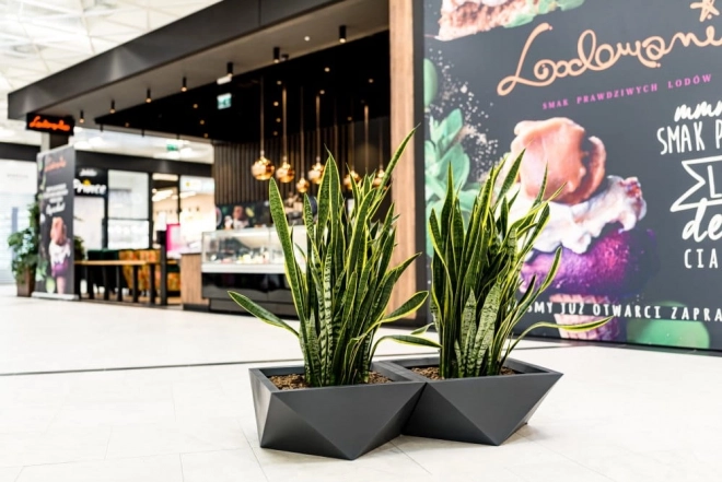 Design blomsterkrukke MONUMO VENDETTA højde 30 cm antracit