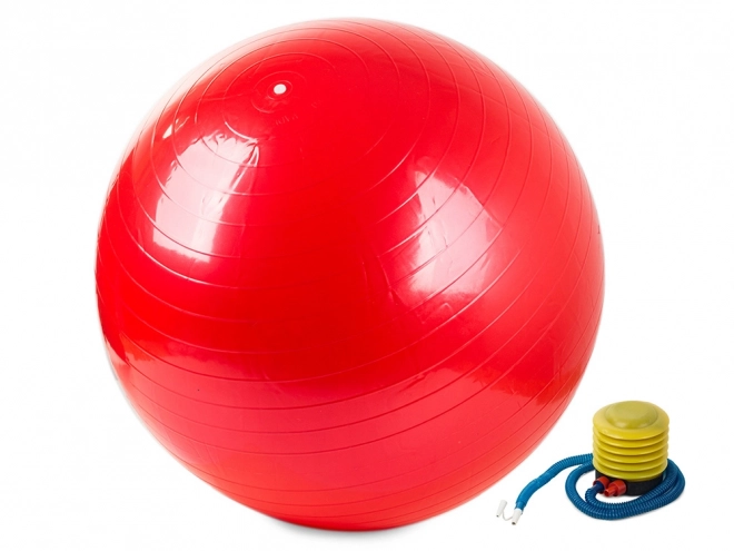 Gymnastikbold med pumpe til fitness og rehabilitering