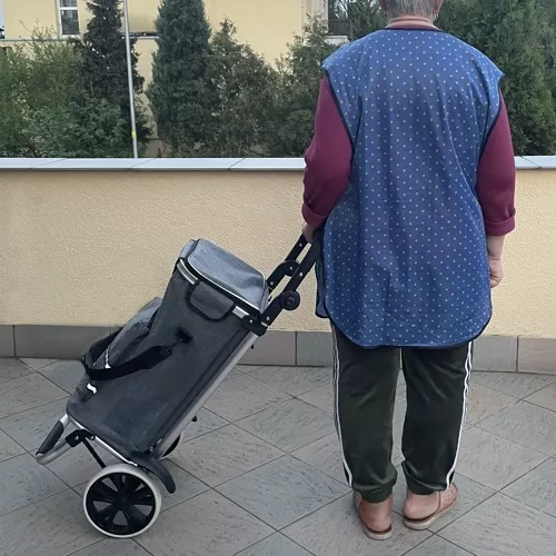 Sammenklappelig transportvogn Gardlov 23187