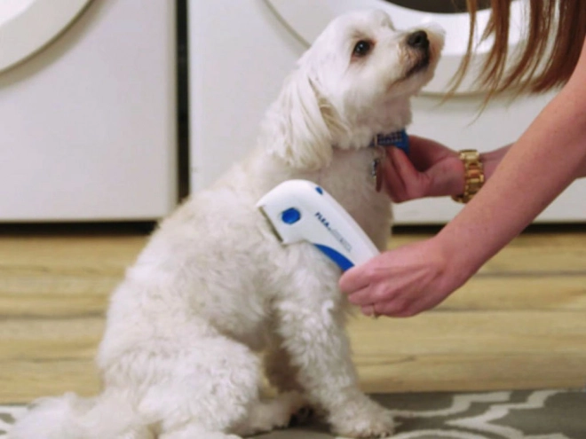 Elektrisk loppekam til hunde og katte