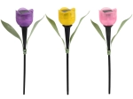 Solcelledrevet havelygte tulipan med LED, mix af farver